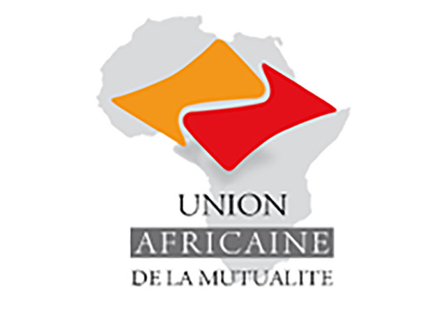 UAM-AFRO : travaux de mise en place de la future faitière en Côte d'Ivoire - 15 Juillet 2015 (Abidjan)